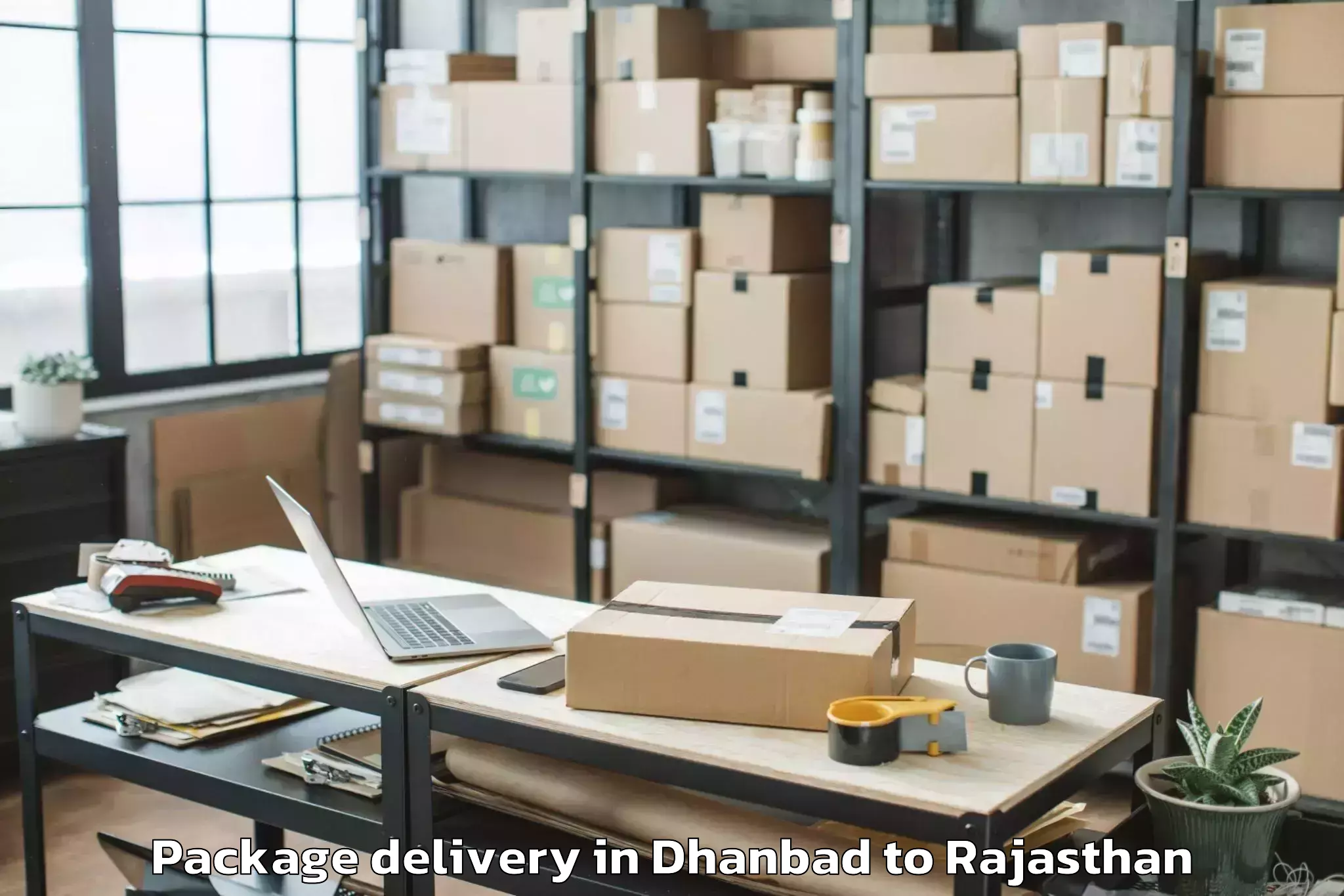 Quality Dhanbad to Kekri Package Delivery